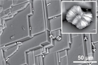Perovskite Films Treated with Benzylamine Show Increased Efficiency