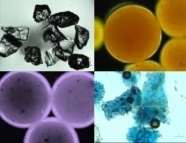 Magnetic 'Springs' Break Down Marine Microplastic Pollution