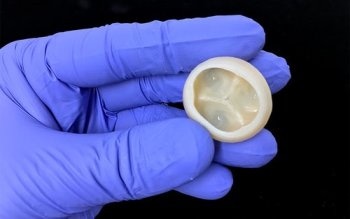 Scientists Take Major Step to Achieve 3D Bioprinting of Functional Organs