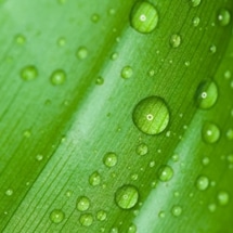 Michelman to Present Sustainable Packaging Solutions at the 7th Edition CPRJ Plastics in Packaging Conference & Showcase