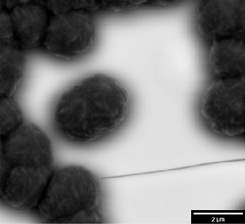 The TESCAN CLARA SEM Pushes the Boundaries of Materials Characterization