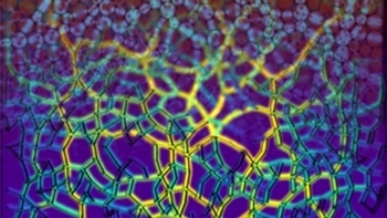 Predicting Where Failure is Most Likely to Occur in 2D Disordered Material