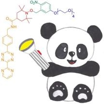 Innovative Approach to Protein Spin Labeling Process