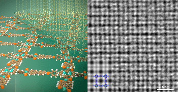 New Synthetic Process to Develop 2D Polymers Using Surfactant Monolayer