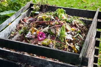 SECOS Launches Home Compostable Resin, An Alternative Compostable Replacement
