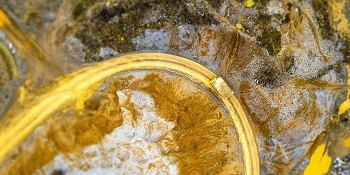 Ore and Minerals Analysis (OMA) Worldwide Workshops