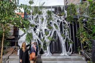 The Genesis Eco Screen – How Bigrep is Making Cities Greener with 3D Printed Urban Ecosystems