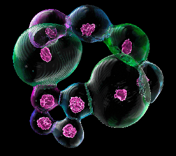 Tell Your Story Even Better with Imaris