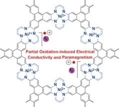 New 2D MOF Synthesized with Several Possible Areas of Application