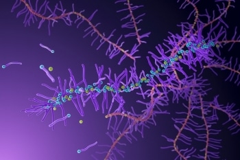 New Method to Synthesize Degradable Polymers for Medical Applications