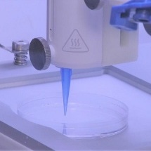 New Way to Develop 3D Printed Living Skin with Blood Vessels