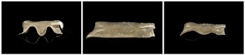 New Shape-morphing Elastomer with Self-healing and High-conductive Properties