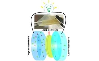 Bio-Inspired Membrane can Help Harvest Ocean Energy