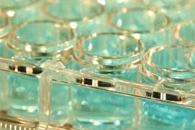 Researchers Discover How to Reduce Bottle Emptying Time