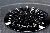 Developing a New Type of Oxygen Reduction Catalyst to Replace Platinum