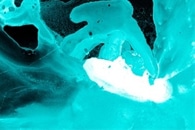 Titanium Catalyst Makes Light Usable for Selective Chemical Reactions