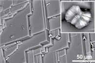 New Design Could Improve Energy Efficiency of Optical Fiber Communications