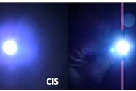 Using Neutron Crystallography to Reveal Structural Details of a Large Protein