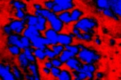 Searching for Dark Matter with Ultracold Material