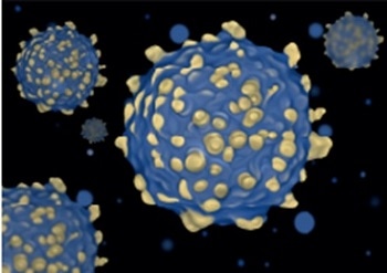 Characterizing Virus and Virus-Like Particles