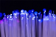 Elasticity of Nanopillars in Antibacterial Surfaces is Key to Kill Bacteria