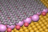 Study Reveals Dual Topological State of Topological Material