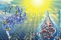 Study on Age-Old Enzymes Could Lead to Sustainable Biotechnology Solutions