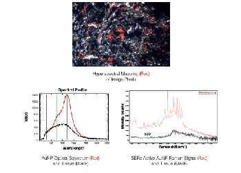 More Powerful Nanoparticle Analysis with Raman Spectroscopy, Hyperspectral Imaging and Enhanced Darkfield Illumination on the Same Microscope Platform