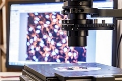 Study Shows Sacran Film Self-Assembles When Exposed to Water Vapor