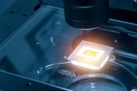 Quick and Low-Cost Method to Create Optical Chips in Petri Dish