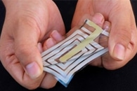 New Thermoelectric Materials-Based Paper Chips Sense Early Forest Fires