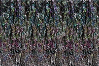 New Study Could Help Design More Advanced Synthetic Structural Materials