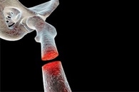 New Thermoplastic Biomaterial with Tunable Properties for Various End Products