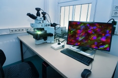 Study Comprehensively Analyzes Performance of mLED/µLED/OLED Emissive Displays