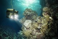 Tiny Plastic Robot Attracts, Captures Contaminant Particles from Water