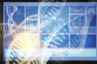 New Magnetic Nanodisks Could be Used for Neurostimulation