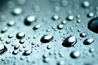 Salvinia-Like Slippery Surface can Help Transport Viscous Fluids, Pipelines, and Microfluidic Devices