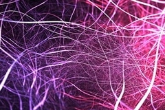 Biocompatible Wool-Like is Pre-Programmed with Reversible Shape Memory
