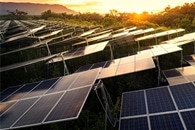 A Synthetic Strategy to Stabilize Bio-Inspired Solar Energy Harvesting Materials