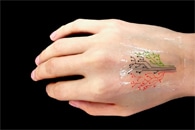 Stretchy, Durable Electronic Skin Mimics Natural Functions of Human Skin