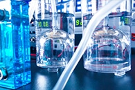 Insights into Bacteria's Metabolism Could Lead to Efficient Production of Biofuels