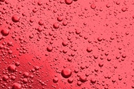 A Low-Cost, Sustainable Method for Producing Bioplastics from Sewage Sludge