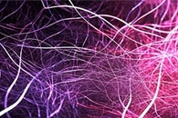 High Pressure Improves Silica Glass Used for Fiber Optic Cables
