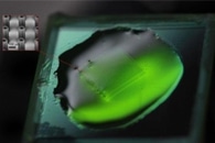 New Hybrids Made by Coupling Gold Nanoparticles with Soft Polymers