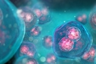 Physicists Discover a Soft Form of Supersolid