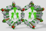 Biomimetic Carbon Cells for Robust Potassium Anode
