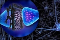 Perovskite Nanocrystals Possess Extraordinary Properties of Energy Transport