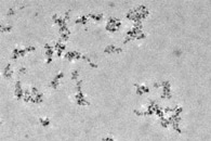 UCI Scientists Measure the Spectra of Phonons Using Advanced Microscopic Techniques