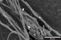 New Nanowire Could Enable More Efficient Superconducting Electronics
