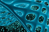 Researchers Unravel How a Polymer Inhibits Ice Recrystallization